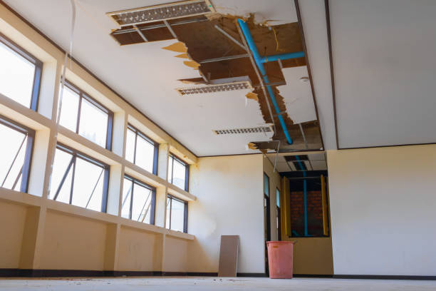 Best Flooded house restoration  in Inniswold, LA