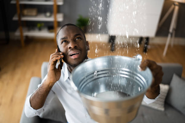 Best Carpet water damage restoration  in Inniswold, LA