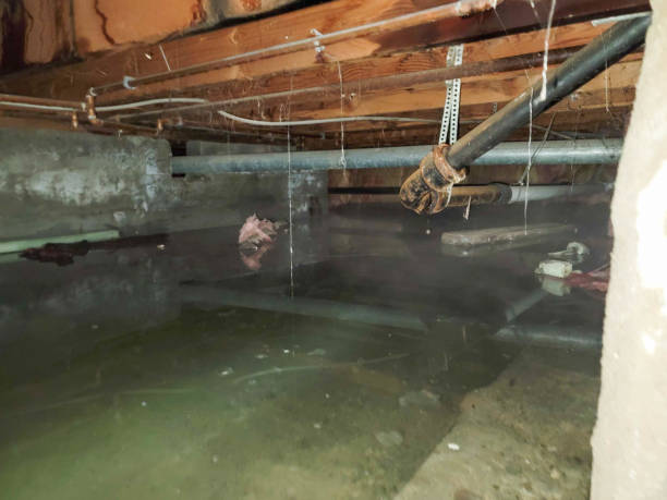 Best Fire Damage Restoration  in Inniswold, LA