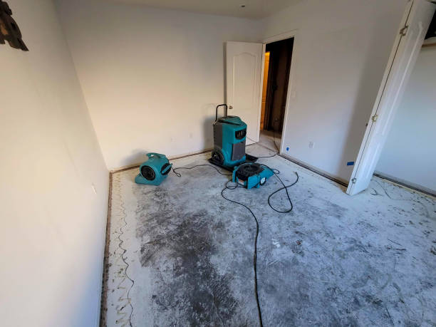 Best Water damage contractors near me  in Inniswold, LA