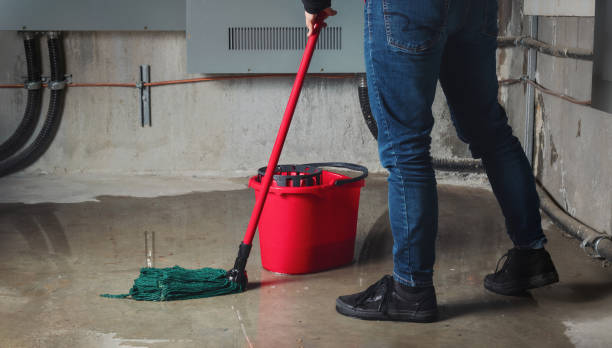 Best Flood damage cleanup  in Inniswold, LA