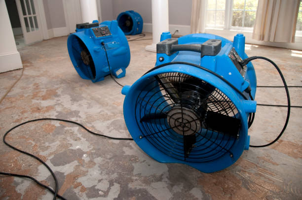  Inniswold, LA Water damage restoration Pros