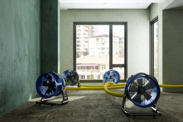 Best Water damage restoration process  in Inniswold, LA