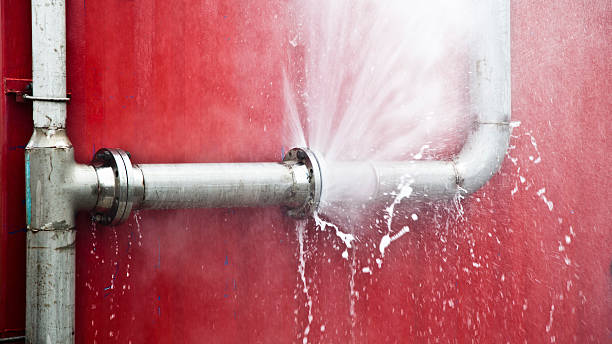 Best Mold removal after water damage  in Inniswold, LA